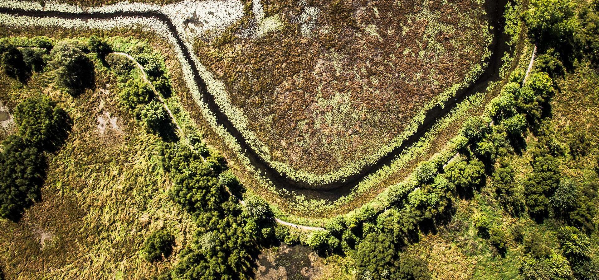 Get an overview of <br />
the Lake Saint-Pierre <br />
biosphere reserve.