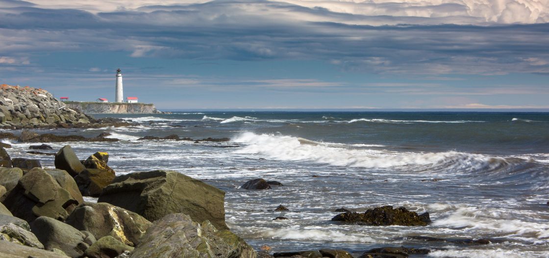 La nature du Saint-Laurent