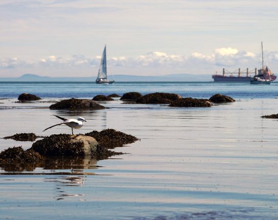 Navigating the St. Lawrence