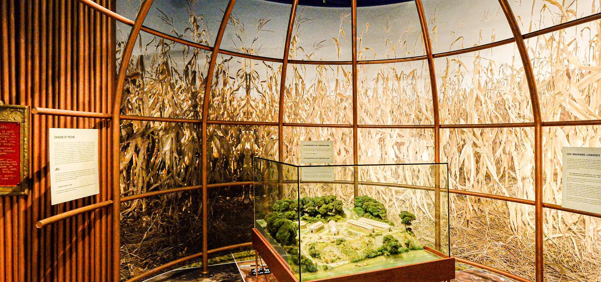 Explore an archeological dig at an Iroquioan village