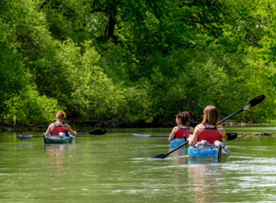 Domaine Boréal and Kayakalo excursions