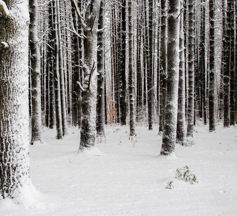 La relâche scolaire 2025 au Biophare
