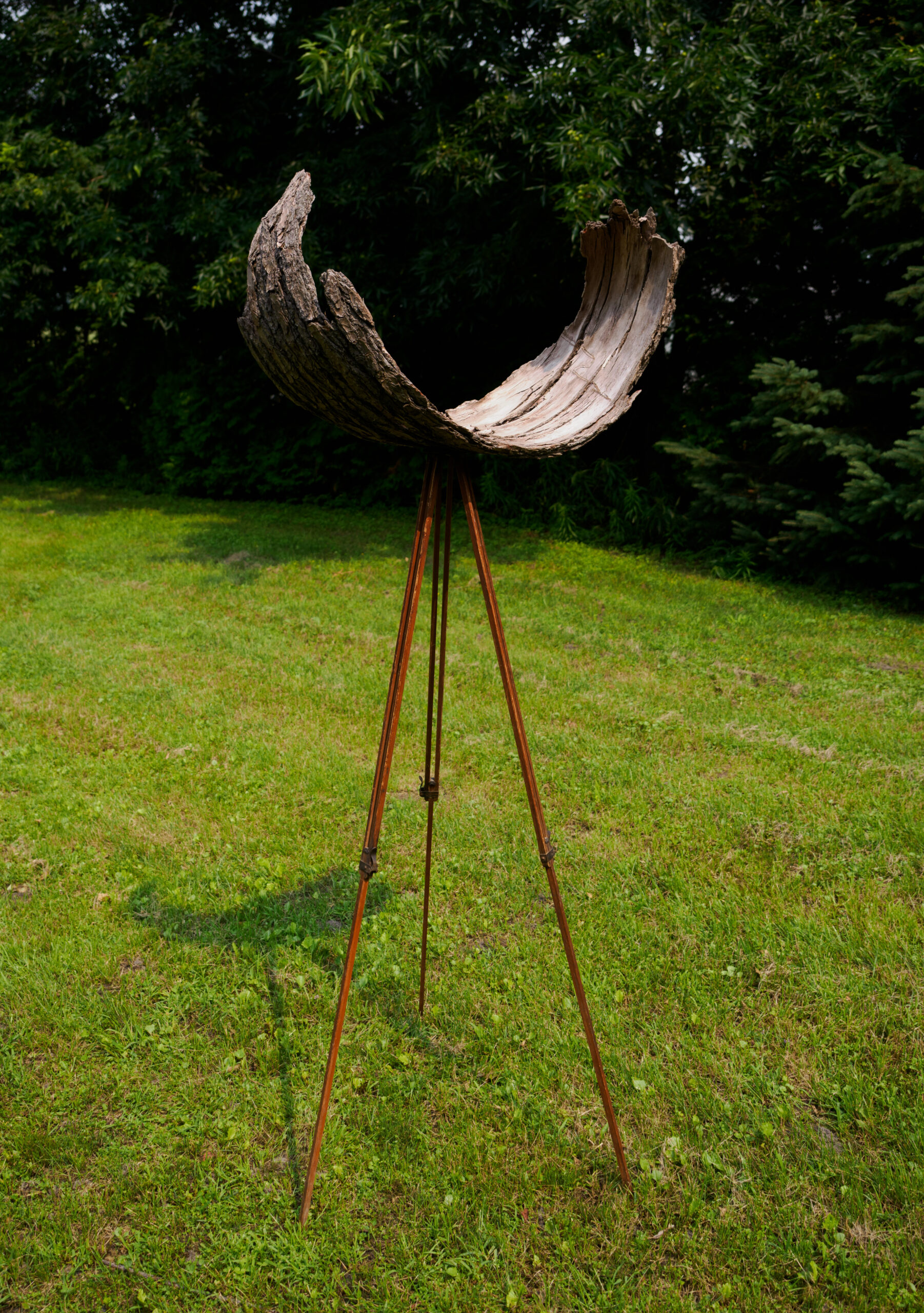 Sculpture de tronc d'arbre sur le gazon de l'exposition temporaire Allégories biocentriques 