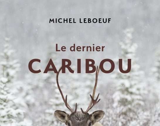 Page couverture du livre Le Dernier Caribou de Michel Leboeuf