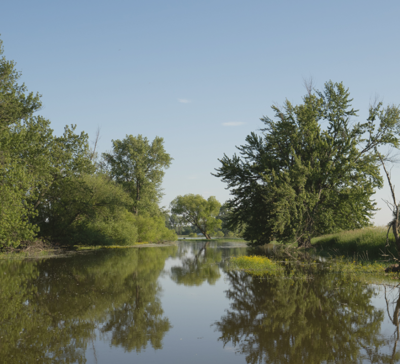 Repenser la gestion des cours d’eau : une conférence au Biophare