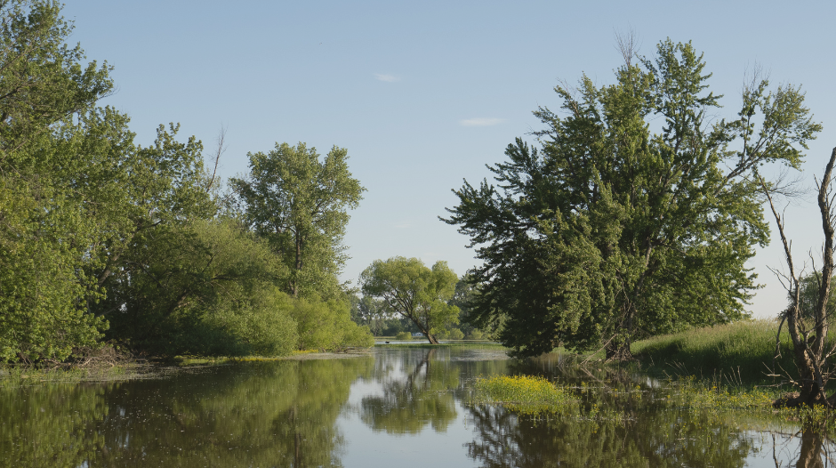 Repenser la gestion des cours d’eau : une conférence au Biophare