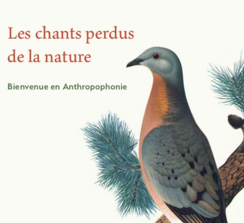 Une conférence de Michel Leboeuf au Biophare