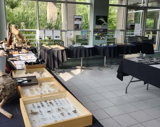 Coup d&rsquo;oeil sur le lac Saint-Pierre